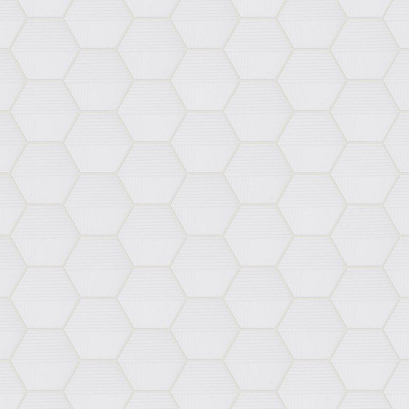TETRA DESIGNER HEX1 PEARL MAIN