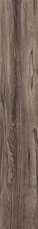 Acorn