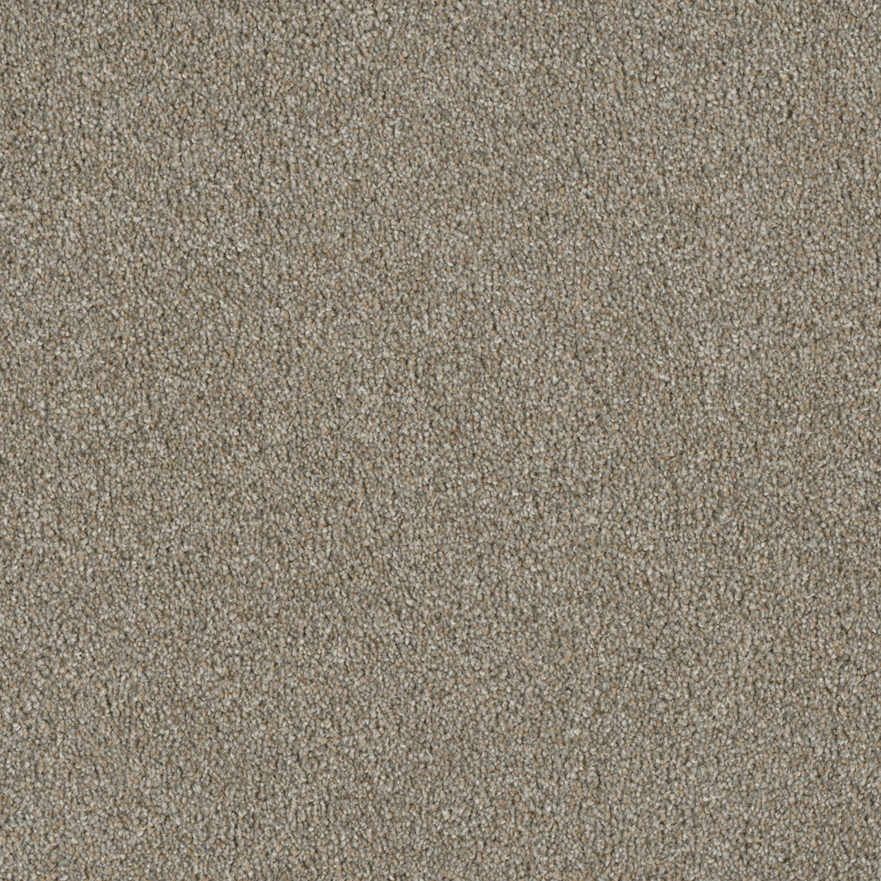 Luxor II - Rhinestone