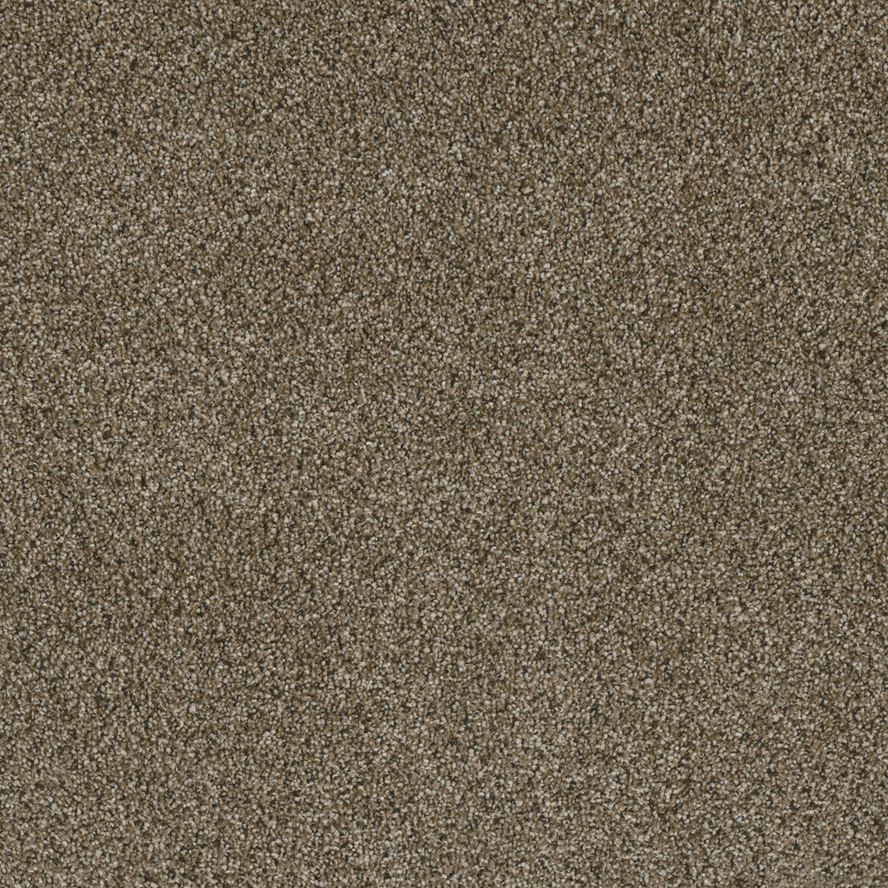 Luxor II - Island Spice