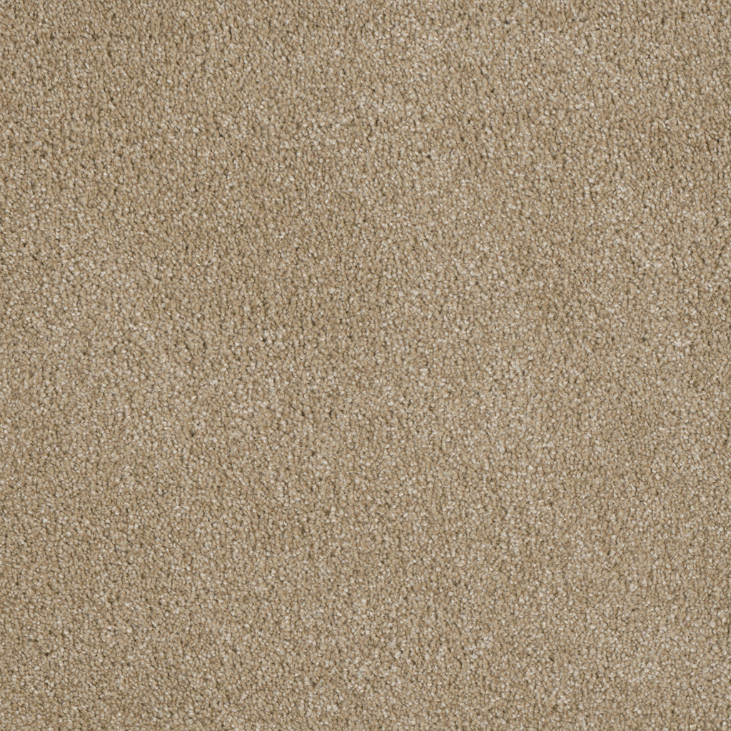 Luxor II - Cashmere