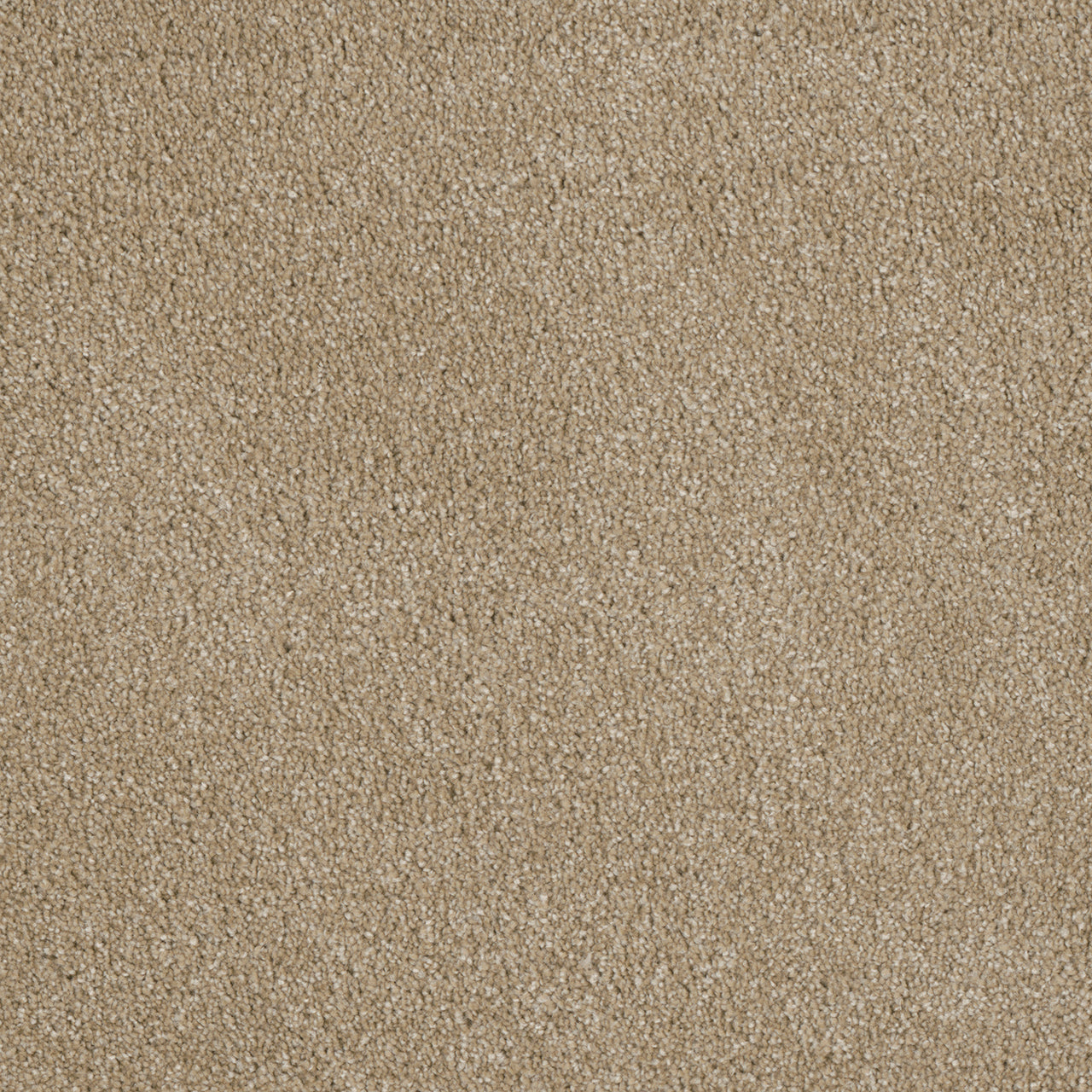Luxor II - Cashmere