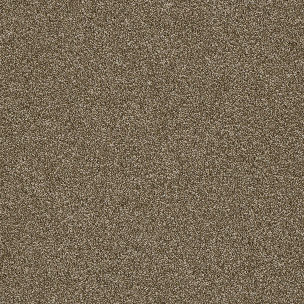 Luxor II - Quail