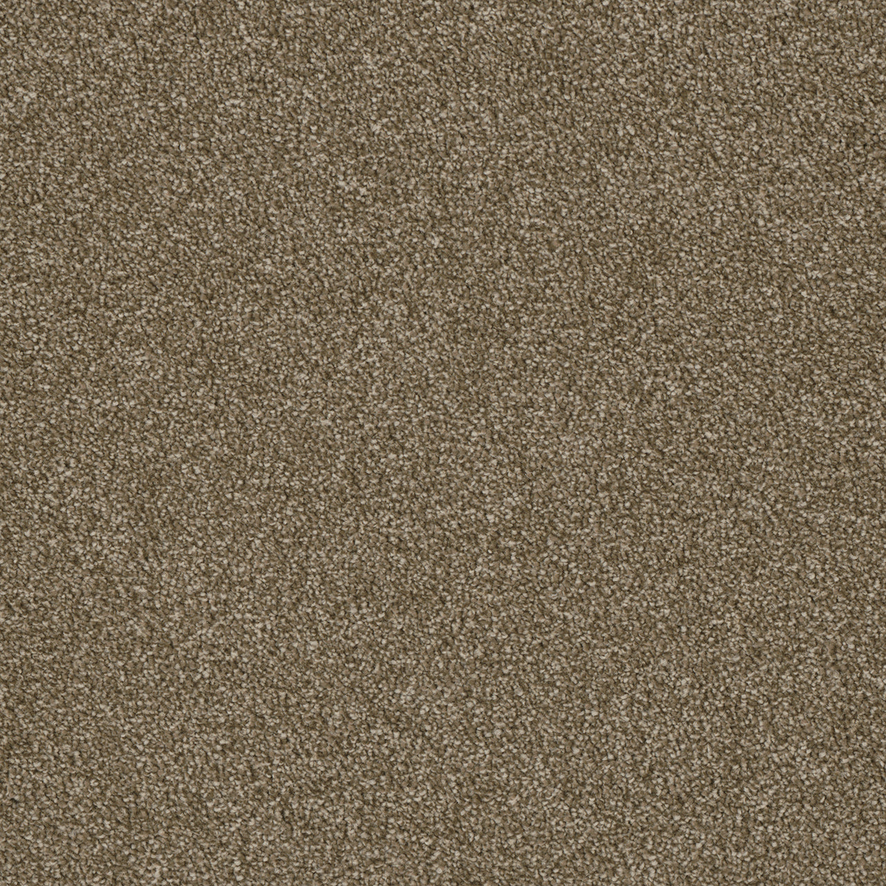 Luxor II - Quail