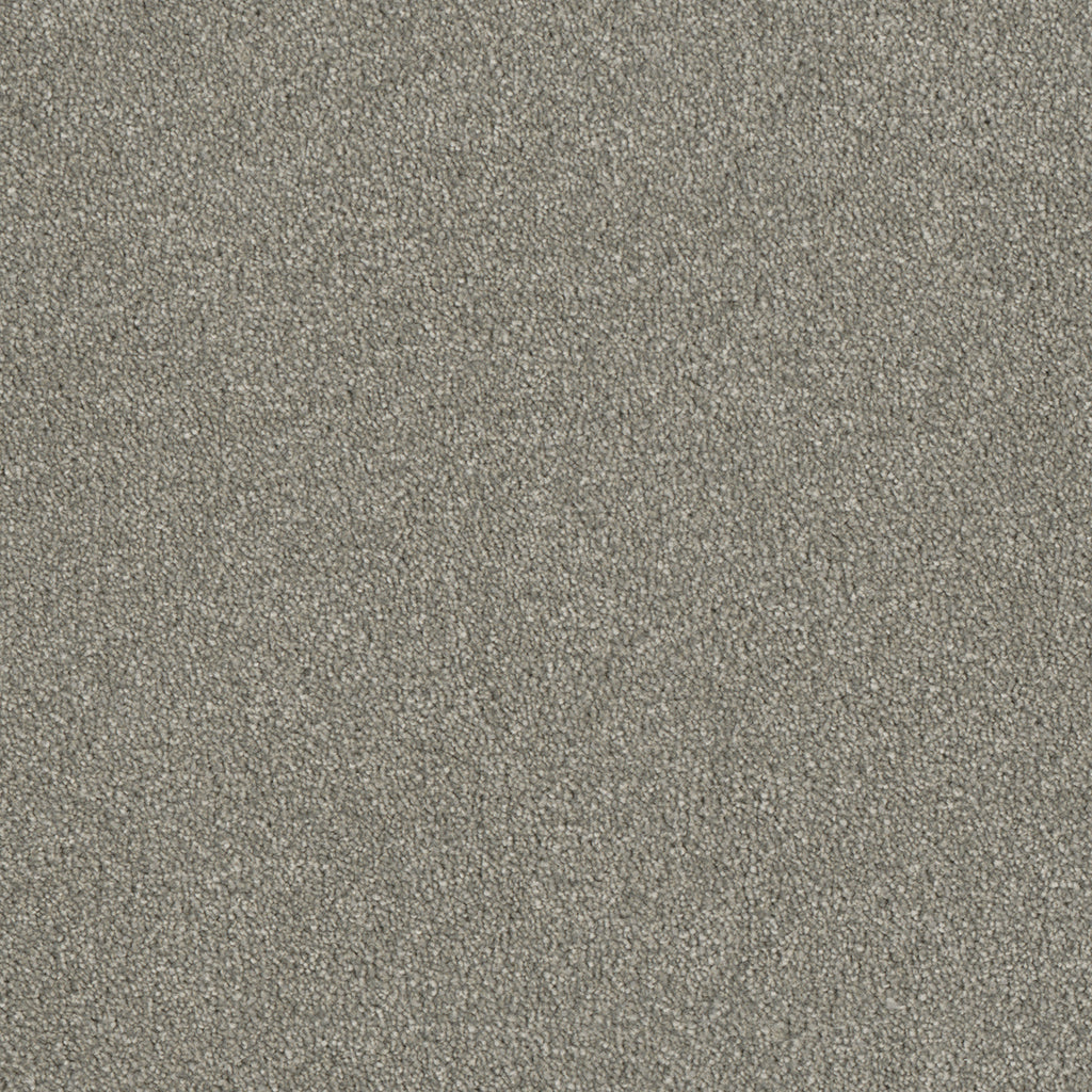 Luxor II - Dove