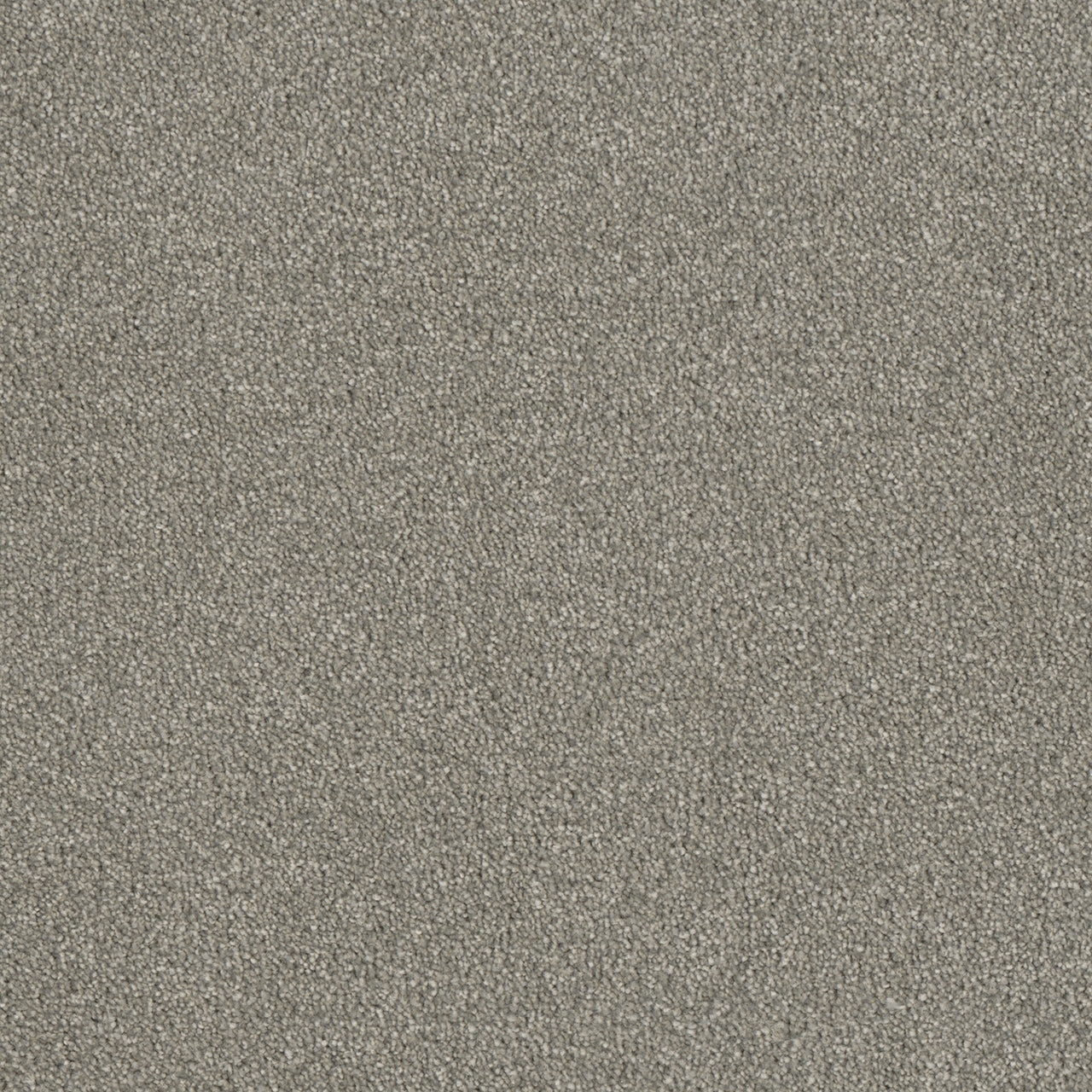 Luxor II - Dove