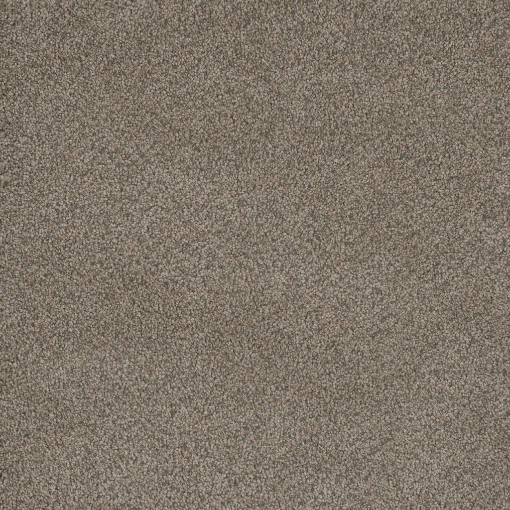 Monte Carlo I - Fawn