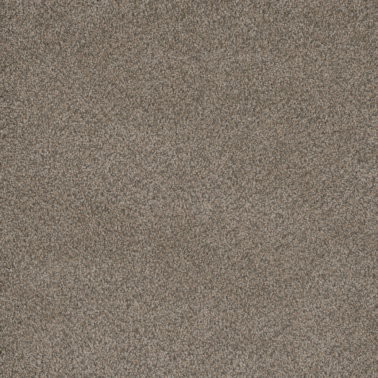 Monte Carlo I - Fawn