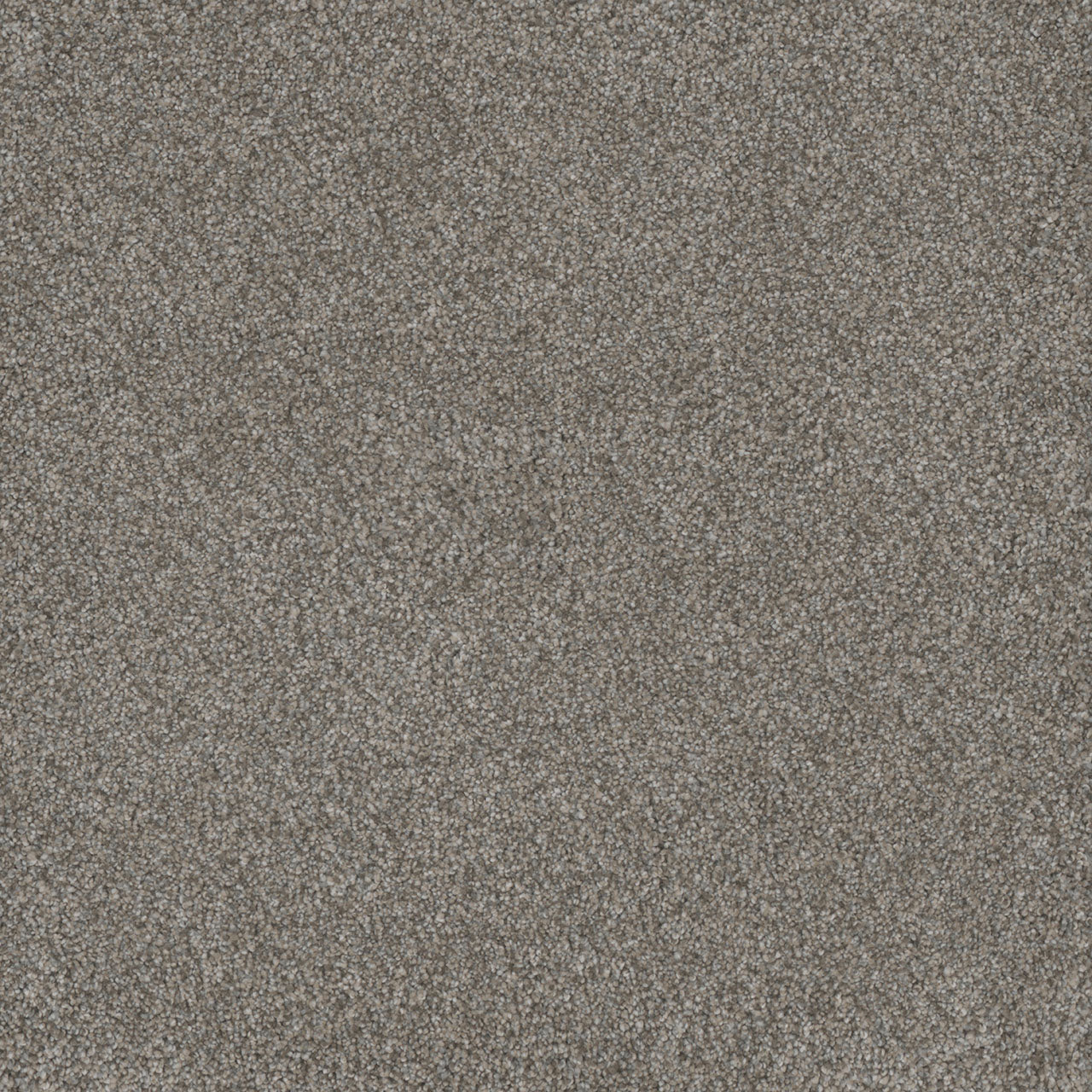 Monte Carlo I - Umber