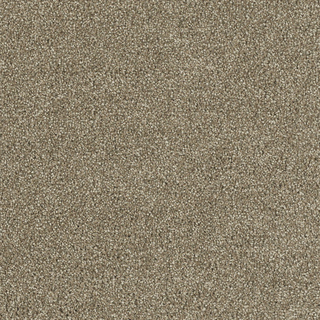 Hollywood - Sienna Sand