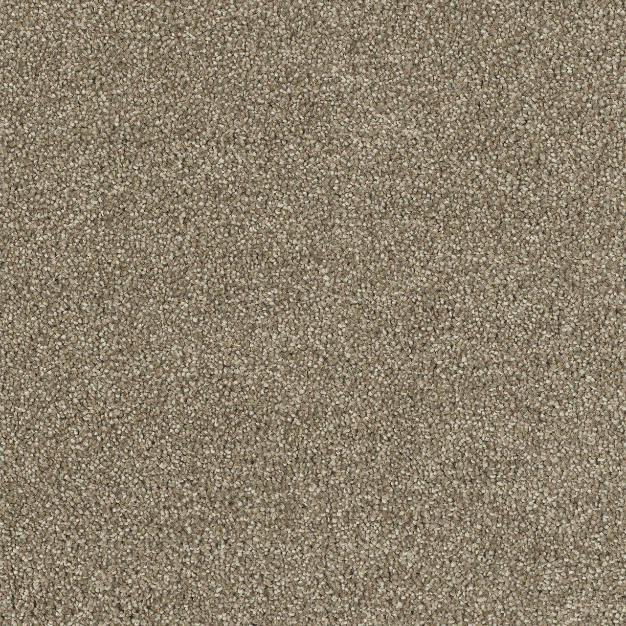 Hollywood - Sienna Sand