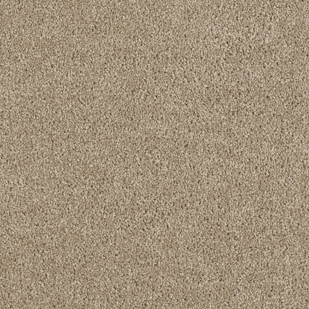 Hollywood - Warm Teak