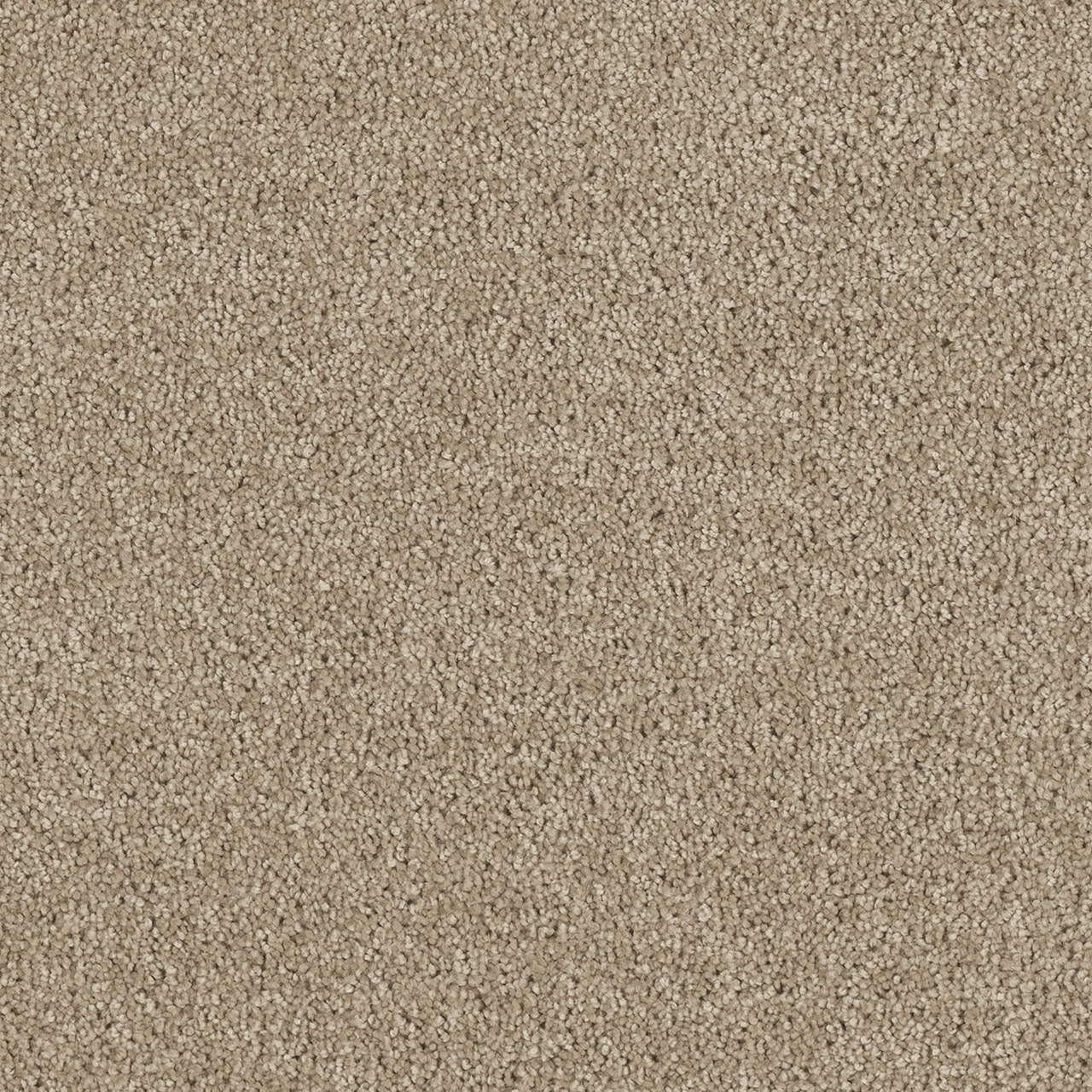 Hollywood - Warm Teak