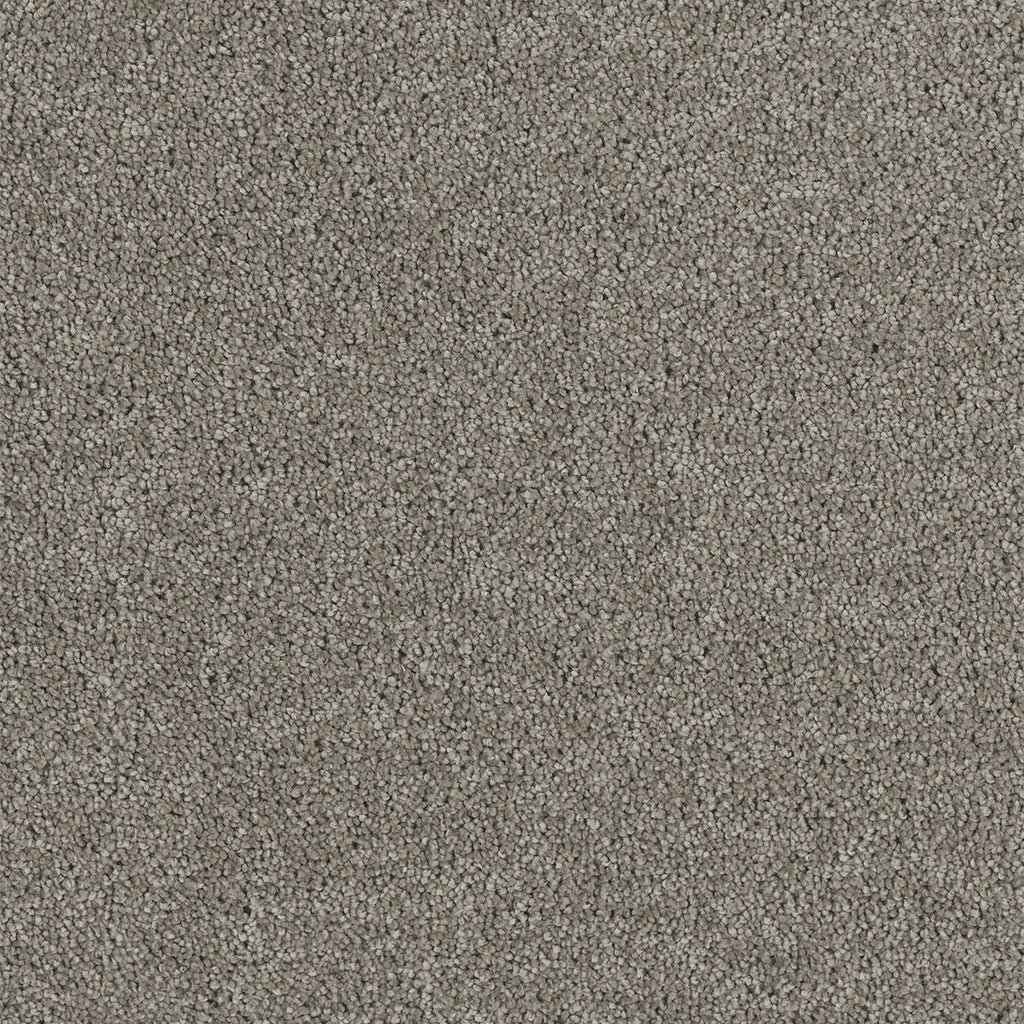 Hollywood - Dark Platinum