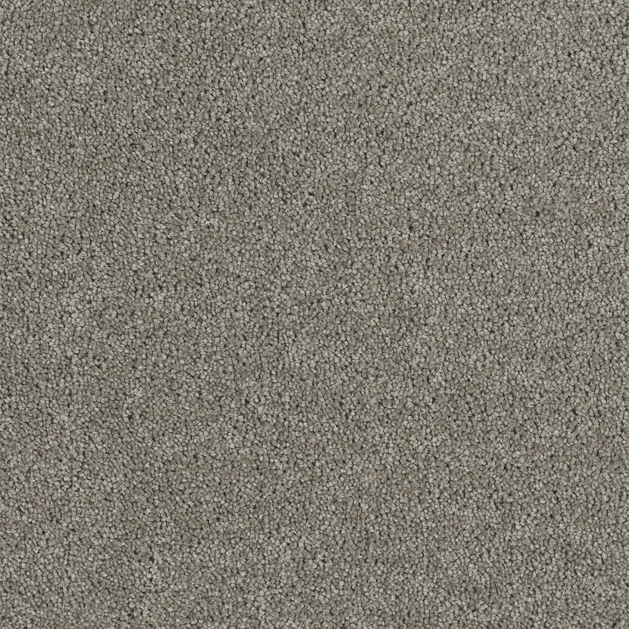 Hollywood - Dark Platinum