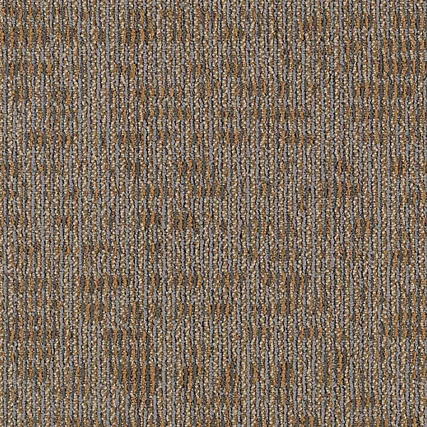 Modernist Vision