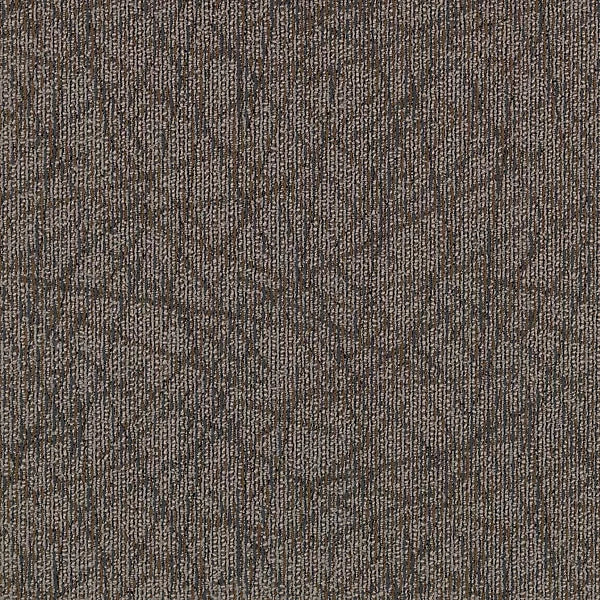 Brilliantly Amazed Tile