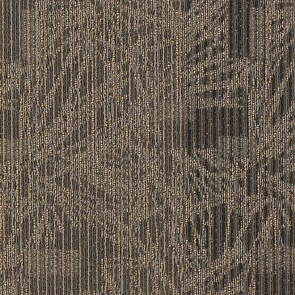 Transforming Spaces Tile