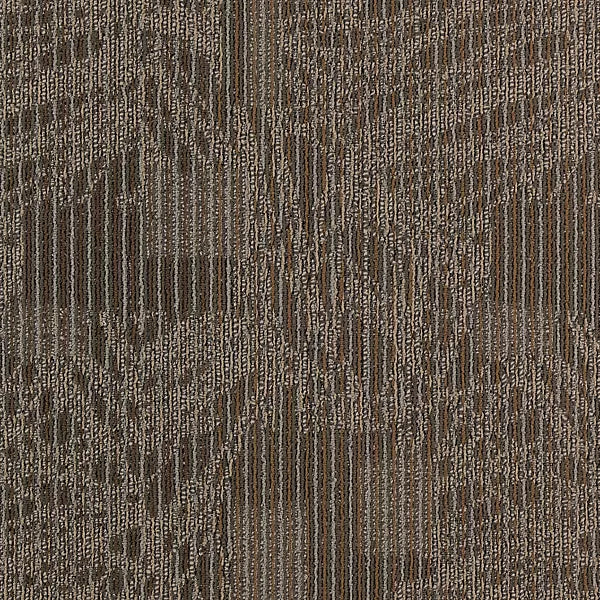 Transforming Spaces Tile