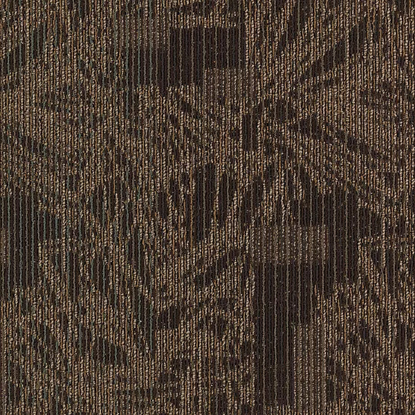 Transforming Spaces Tile