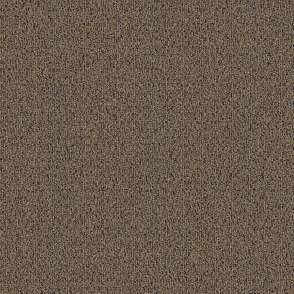 Sand Dune