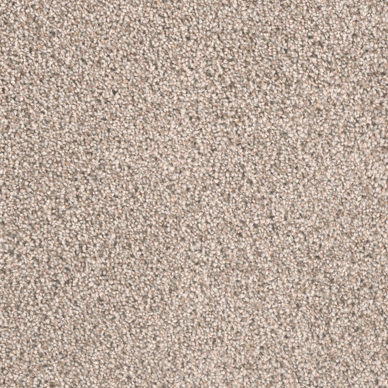 Metropolitan II - Stucco