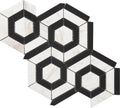 Roca Tile - Bw Hexagon Marble Mosaic 9 x 12