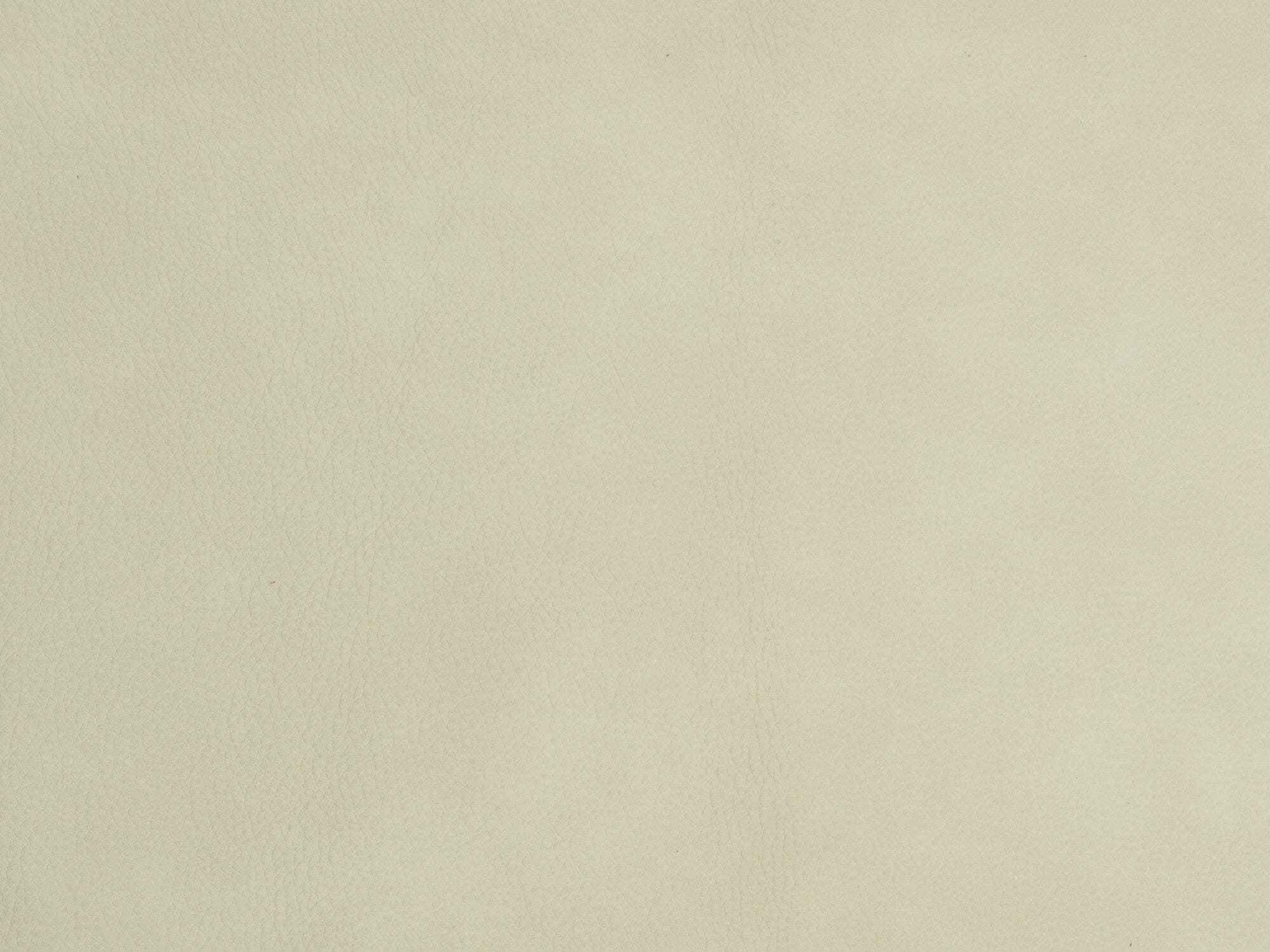 MAJESTIC CHINA WHITE