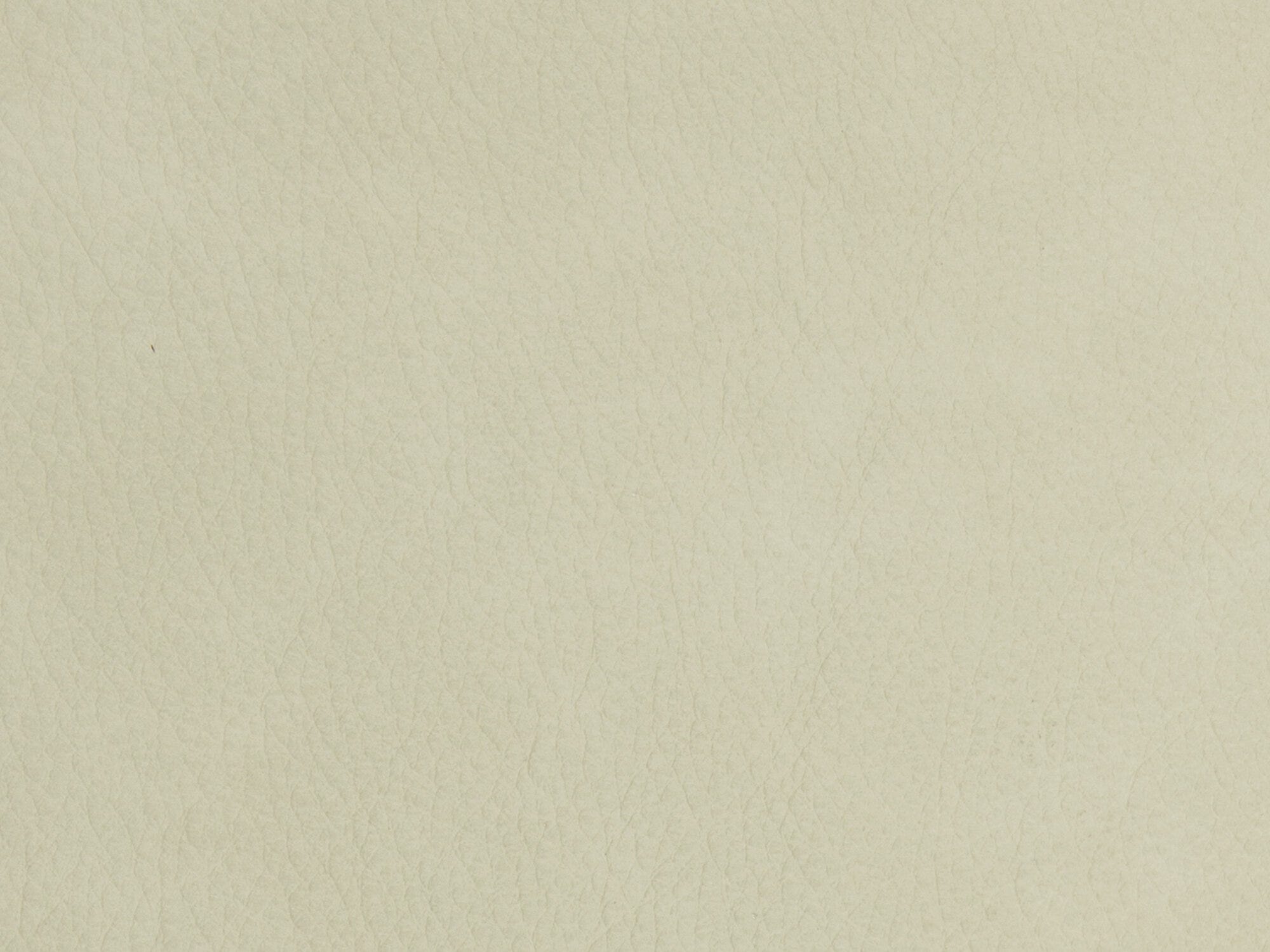 MAJESTIC CHINA WHITE