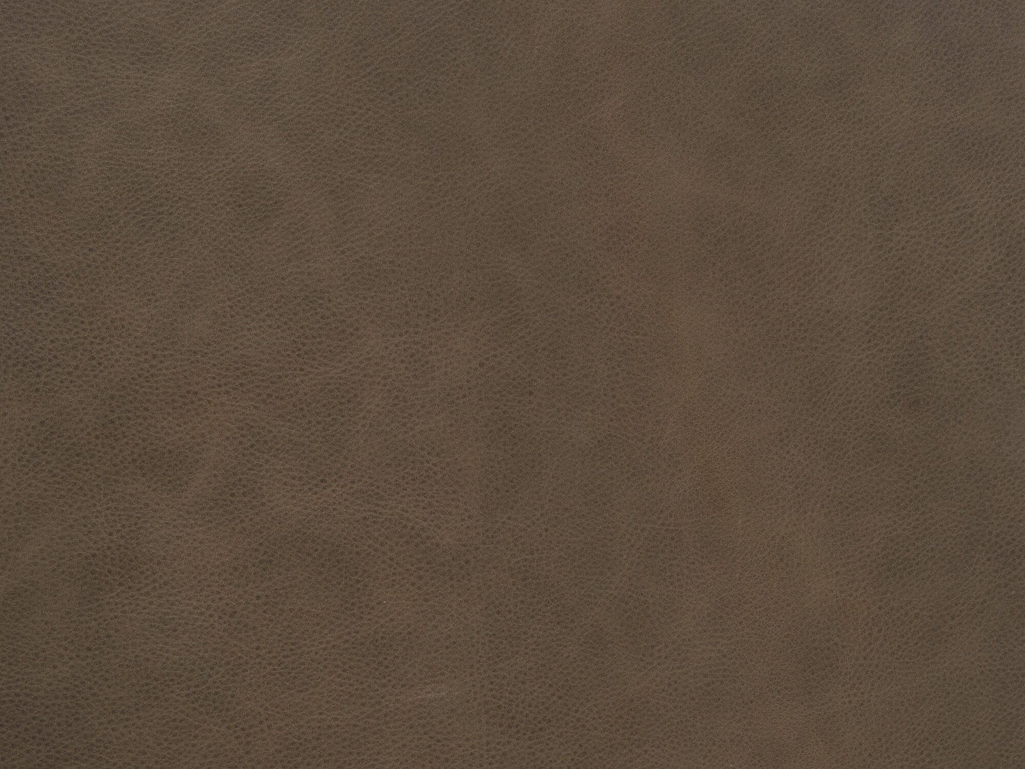 VAIL COFFEE Image 1