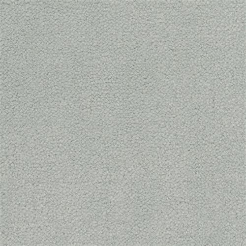 Signet - Signature