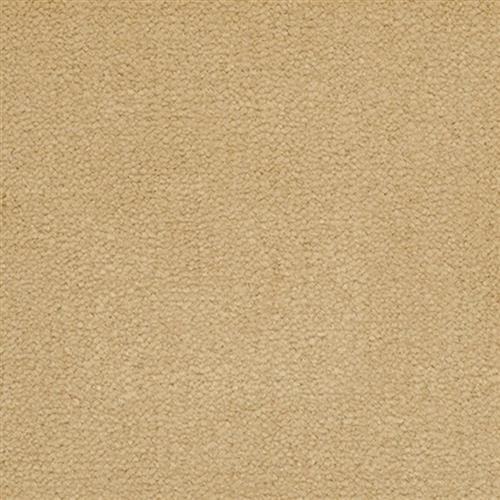 Signet - Signature