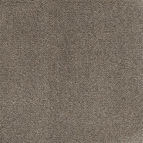 Signet - Signature