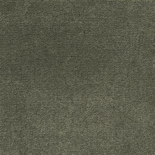 Signet - Signature