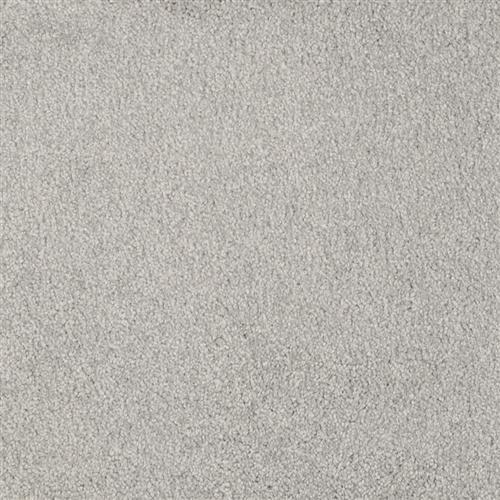 Salsa - Signature