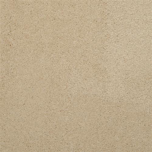 Allegria - Signature