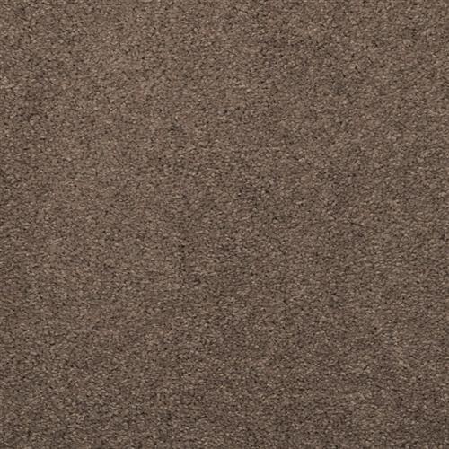 Allegria - Signature