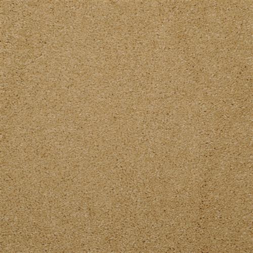 Allegria - Signature