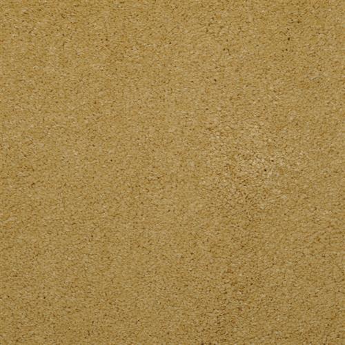 Allegria - Signature