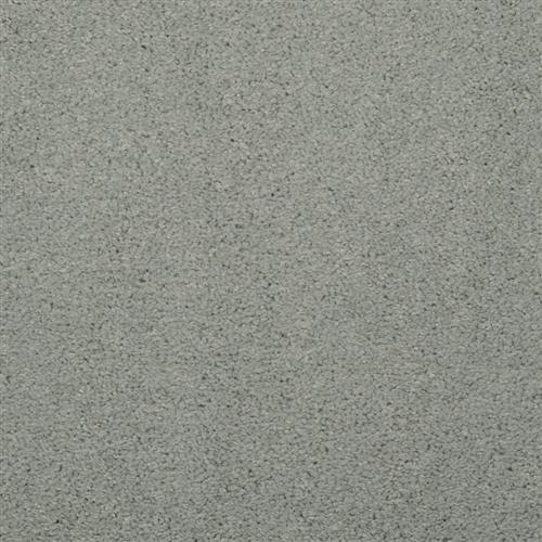 Allegria - Signature