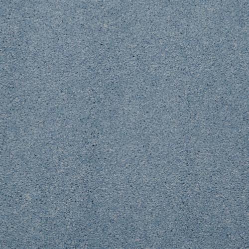 Allegria - Signature