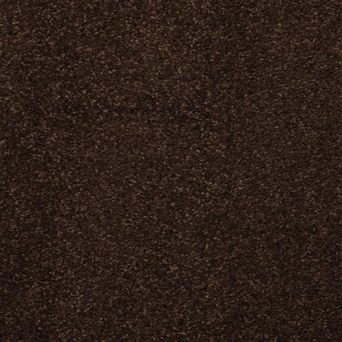 Allegria - Signature
