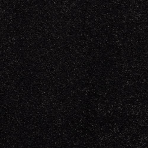 Allegria - Signature