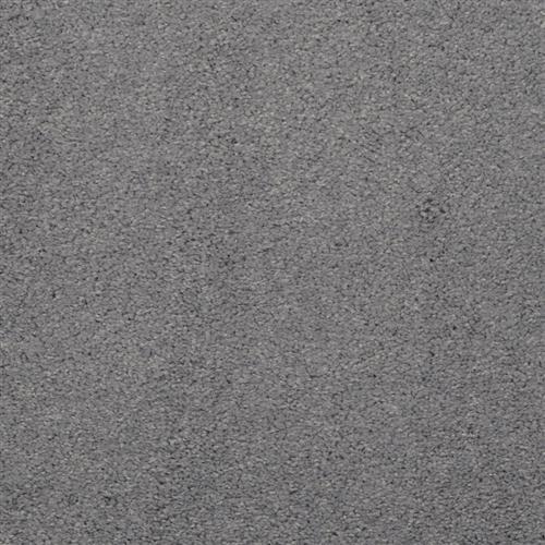 Allegria - Signature