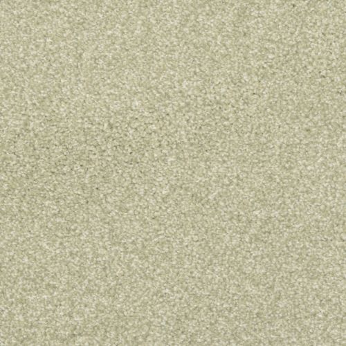 New Comfort - Signature