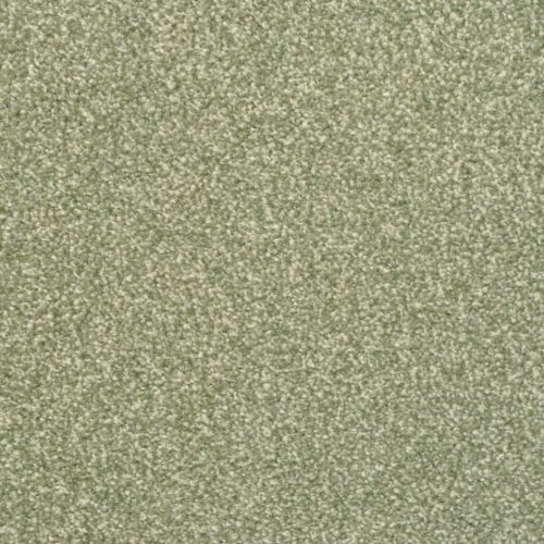 New Comfort - Signature