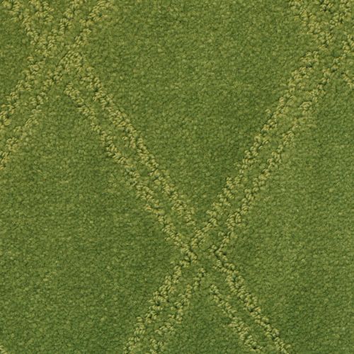 Parma - Signature