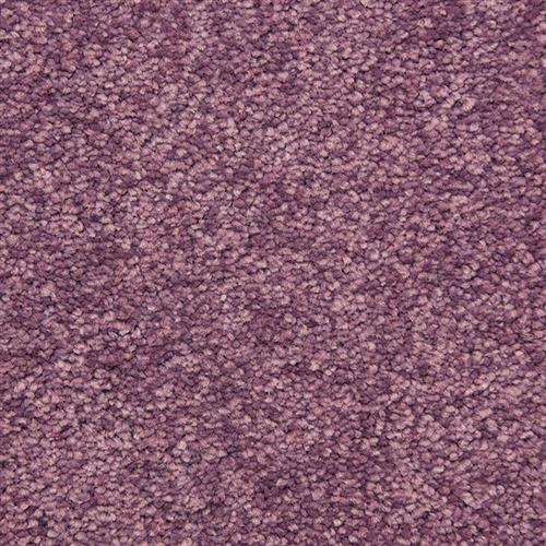 Patnos - Signature