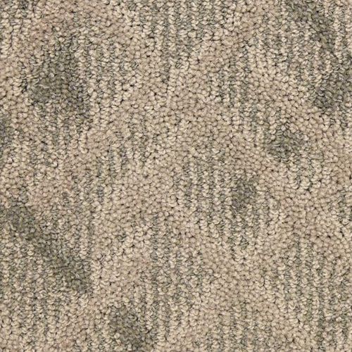 Orion