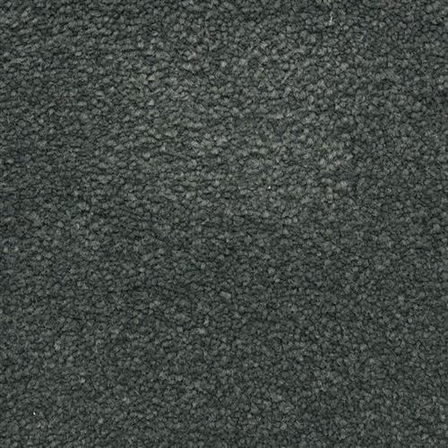 Roadster - Signature